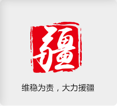维稳为责，大力援疆