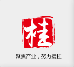 聚焦产业，努力援桂